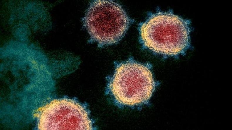Cientistas n�o descartam que o gene misterioso encontrado contribua para a biologia �nica do v�rus(foto: Getty Images)