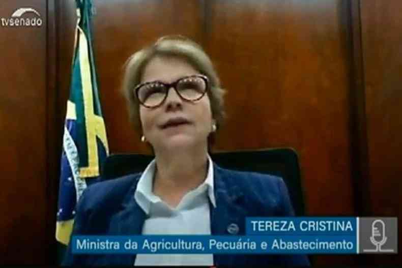Tereza Cristina em audincia pblica remota do Senado: 