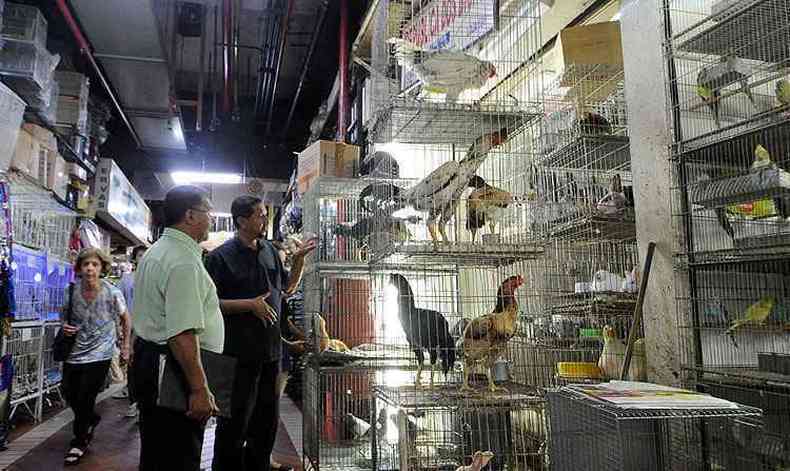 Animais em gaiolas no Mercado Central de BH: comercio no local  alvo de protestos de ativistas (foto: Leandro Couri/EM/D.A Press)