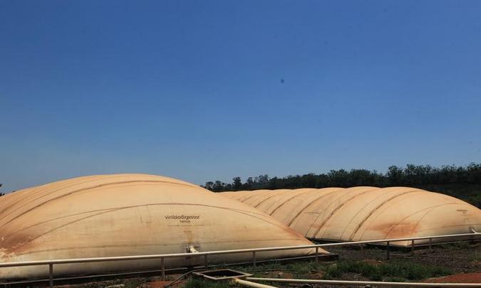 A Fazenda Catete tem dois biodigestores que geram energia para todo o sistema de produção de leite(foto: Gilson de Souza) A Fazenda Catete tem dois biodigestores que geram energia para todo o sistema de produção de leite(foto: Gilson de Souza)