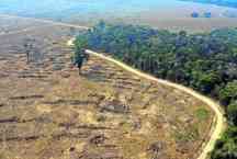 ONU: Agropecuária predatória devastou 40% do solo do planeta