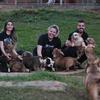 Animais de estimação são companheiros de quarentena