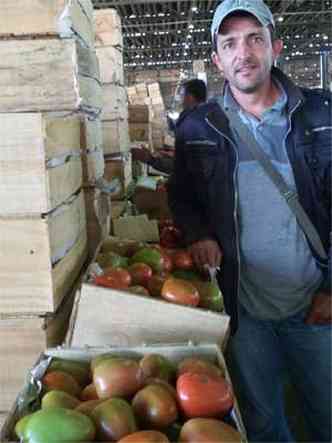 Reinaldo da Silva, de Carmpolis de Minas, chegou  Ceasa trazendo tomate, que est sendo vendido a R$ 30 a caixa com 50 quilos(foto: Jair Amaral/EM/D.A Press)