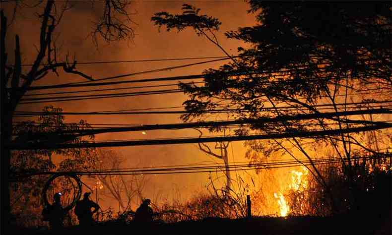 Bombeiros combatem chamas na Grande BH, regio de Minas que concentra o maior nmero de focos(foto: Marcos Vieira/EM/DA Press - 31/7/19)