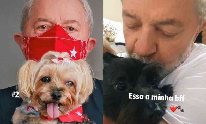 Lula e suas cachorrinhas na trend do TikTok