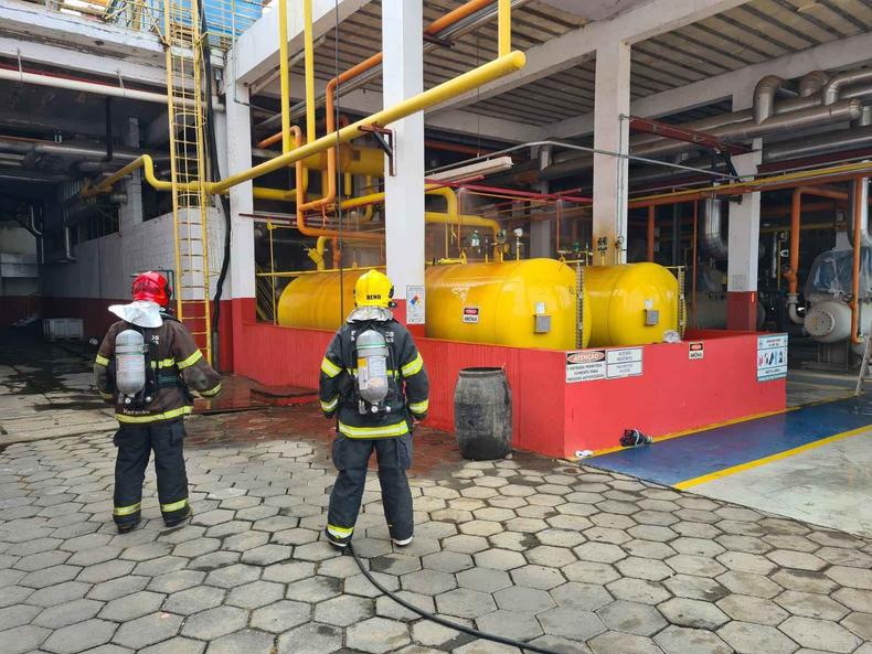 Bombeiros trabalham aps vazamento de amnia em frigorfico 