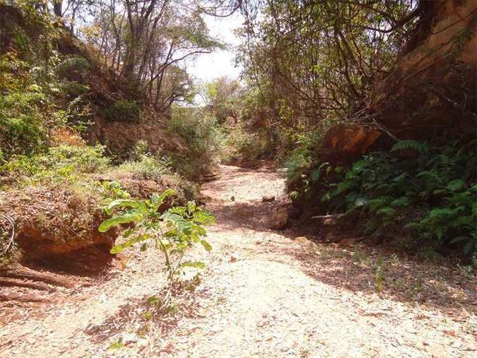 O Rio Pacuí também desapareceu pela primeira vez desde a nascente até a cidade de Pentáurea(foto: José Ponciano Neto/divulgação ) O Rio Pacuí também desapareceu pela primeira vez desde a nascente até a cidade de Pentáurea(foto: José Ponciano Neto/divulgação )