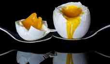 Comer ovo na infncia ajuda no desenvolvimento do crebro  