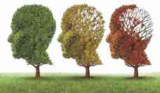 Alzheimer, ateno aos sinais