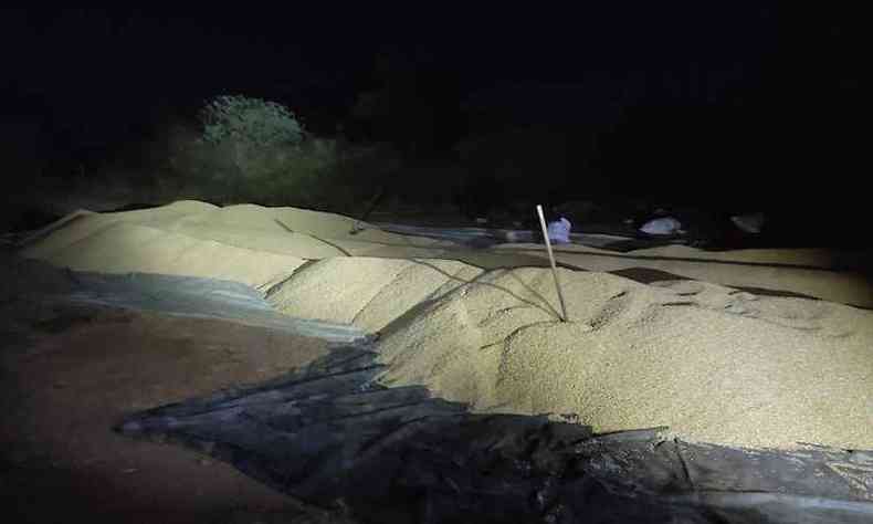 A carga de 40 toneladas de milho foi vendida por R$ 53 mil(foto: Polcia Militar Rodoviria/ Divulgao)