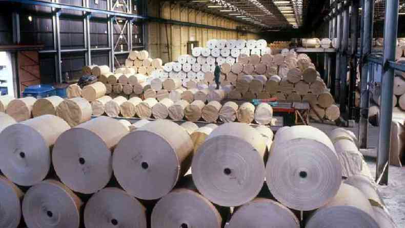 Fabricantes de papel higinico esto em alerta aps encarecimento da matria-prima no Brasil(foto: BBC)