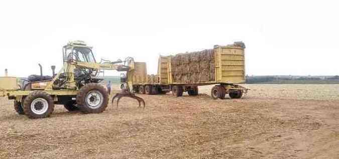 Trator em planto de cana de aucar; custo do equipamento poderia ser 29,24% menor sem tributao(foto: Valdemar Oliveira/Divulgao)