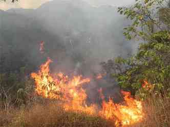 Incndio na Serra da Moeda, Grande BH, destruindo vegetao remanescente de Mata Atlntica em agosto de 2011(foto: Tarcisio Martins/divulgacao )