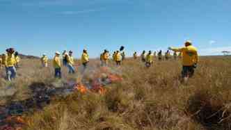 Brigadistas so treinados para combater incndios no Parque da Serra da Canastra(foto: PNSC/ICMBio)