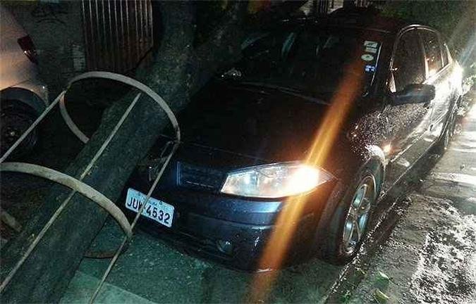 (foto: B�rbara Coutinho)