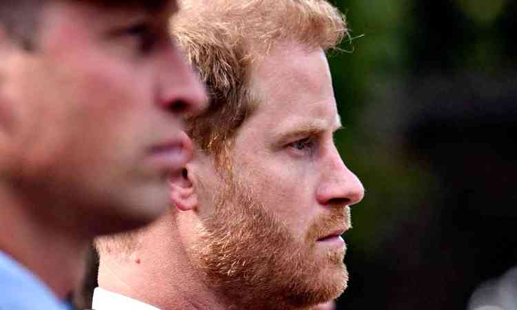 Os prncipes William e Harry, lado a lado, de perfil, com semblante srio
