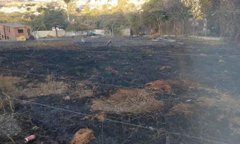 No total, foram queimados cerca de seis hectares de vegetao