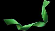 Agosto Verde: coleira antiparasitria para prevenir a leishmaniose 