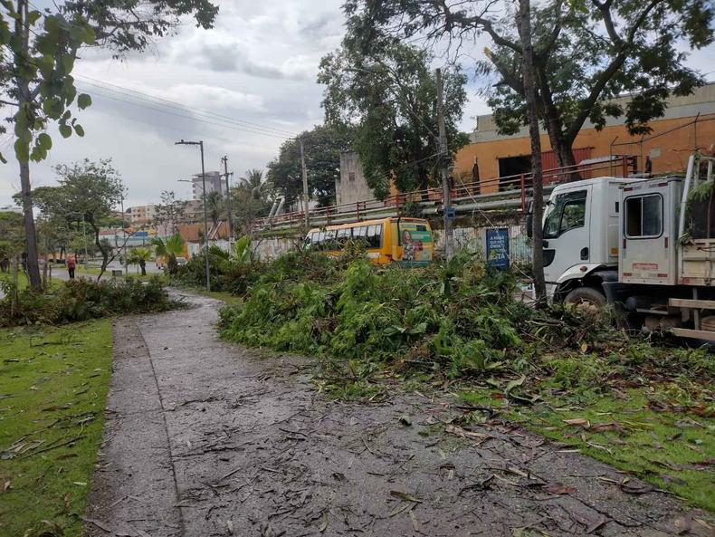 Avenida Bernardo Vasconcelos, no Bairro Cachoeirinha, tomada de galhos de rvores e entulhos. 