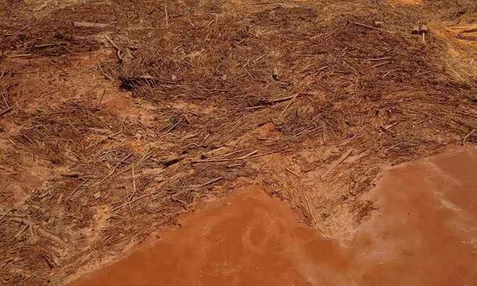 Moradora de Rio Doce afirma que o rio de mesmo nome está cheio de animais mortos(foto: Eliana Werinton Vaz) Moradora de Rio Doce afirma que o rio de mesmo nome está cheio de animais mortos(foto: Eliana Werinton Vaz)