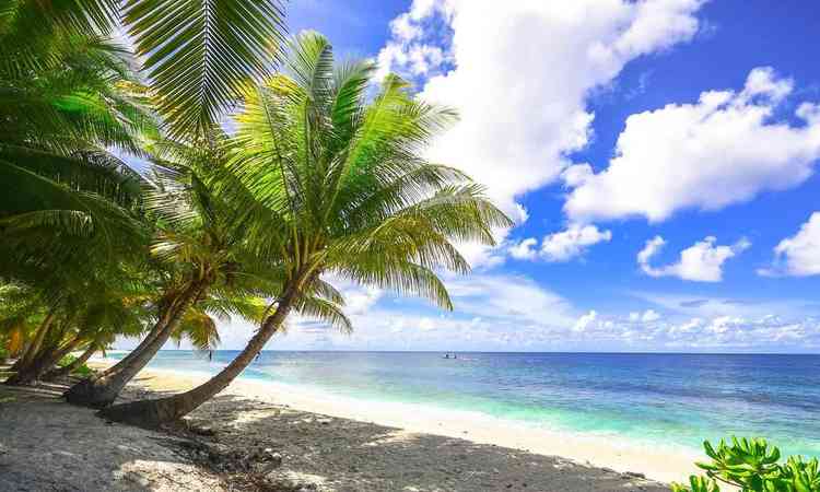 praia paradisaca, areia, mar, coqueiro, tempo limpo 