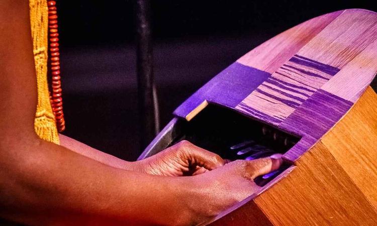 Srgio Perer toca o instrumento musical africano mbira
