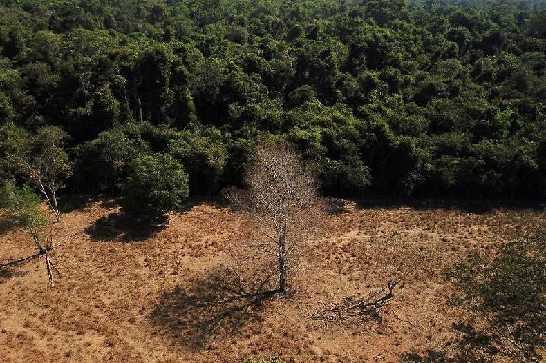 rea com mata e rea desmatada no Cerrado, em foto area