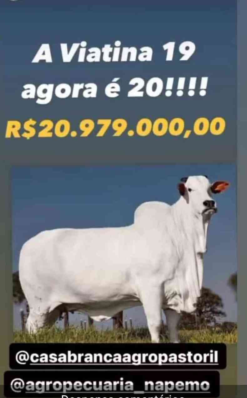 Print de Instagram com o valor de Viatina-19, de R$ 20.979.000 