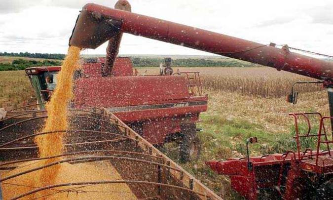 Previsão da safra de cereais, leguminosas e oleaginosas caiu 0,8%, indo para 228,1 milhões de toneladas (foto: Arquivo/Agência Brasil) Previsão da safra de cereais, leguminosas e oleaginosas caiu 0,8%, indo para 228,1 milhões de toneladas (foto: Arquivo/Agência Brasil)