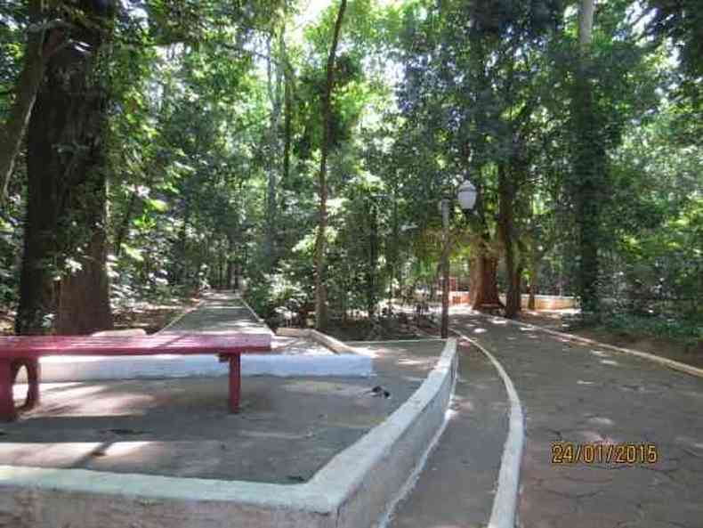 Bosque em Umuarama (PR)