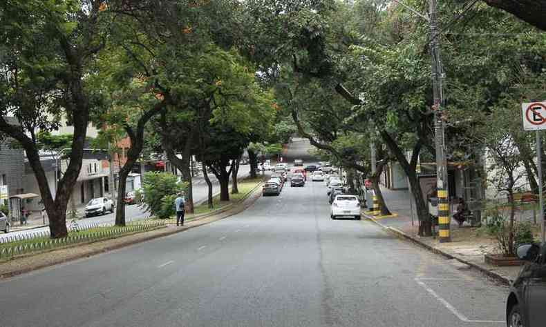 Avenida Getlio Vargas, no Bairro Funcionrios: Regio Centro-Sul de BH j registrou 284 mortes pela COVID-19(foto: Jair Amaral/EM/D.A Press)