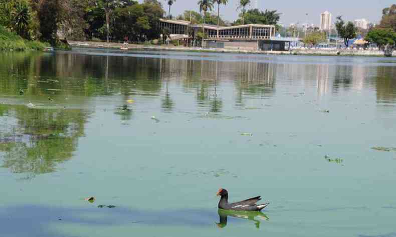 Prefeitura de BH defende que, depois de dois anos de tratamento, lagoa est mais resiliente, capaz de responder ao aporte de poluentes de forma mais rpida do que antes(foto: Paulo Filgueiras/EM/D.A PRESS)