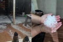 Tive o carro ou a casa danificada pelo granizo em MG; o seguro cobre os danos?