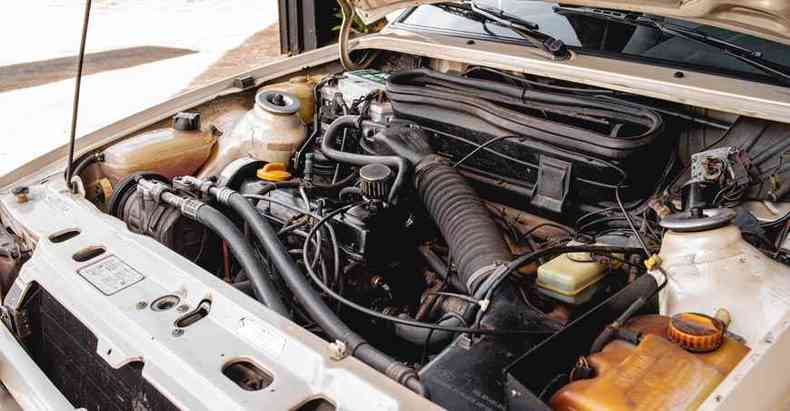 Motor original AP 1.8 foi convertido para etanol e ganhou 6cv(foto: Jorge Lopes/EM/D.A Press)