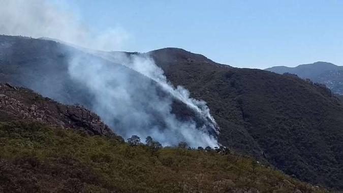 Fogo se espalhou rapidamente pela vegetação. Causas são investigadas(foto: Corpo de Bombeiros/Divulgação) Fogo se espalhou rapidamente pela vegetação. Causas são investigadas(foto: Corpo de Bombeiros/Divulgação)