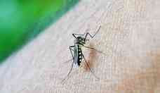 Dengue: SBP recomenda vacina preferencial para crianas e adolescentes