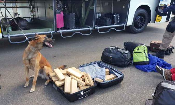 Drogas foram encontradas na mala de um dos passageiros no início desta tarde(foto: PRF/Divulgação) Drogas foram encontradas na mala de um dos passageiros no início desta tarde(foto: PRF/Divulgação)