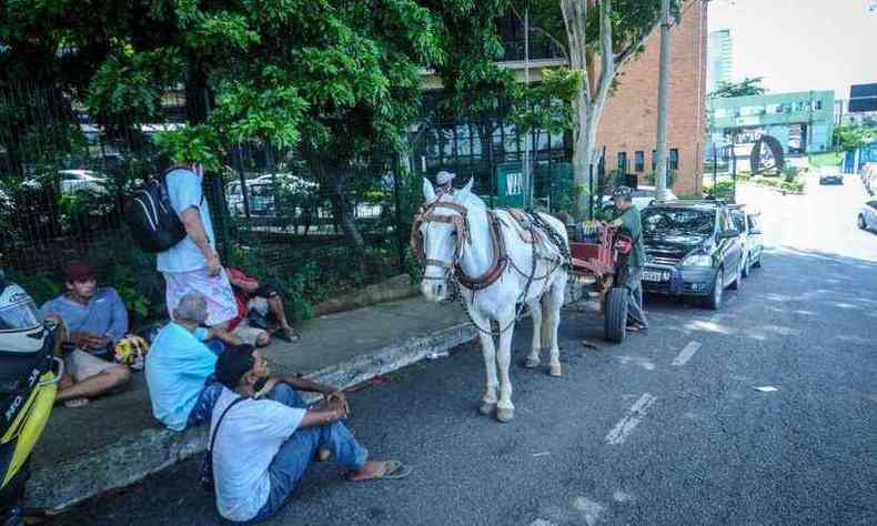 Carroceiros acompanham votao nesta tera-feira (15)(foto: Leandro Couri/EM/DA Press)