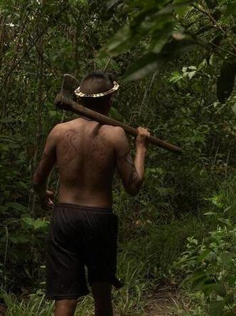 Indgena anda em trilha na floresta amaznica 