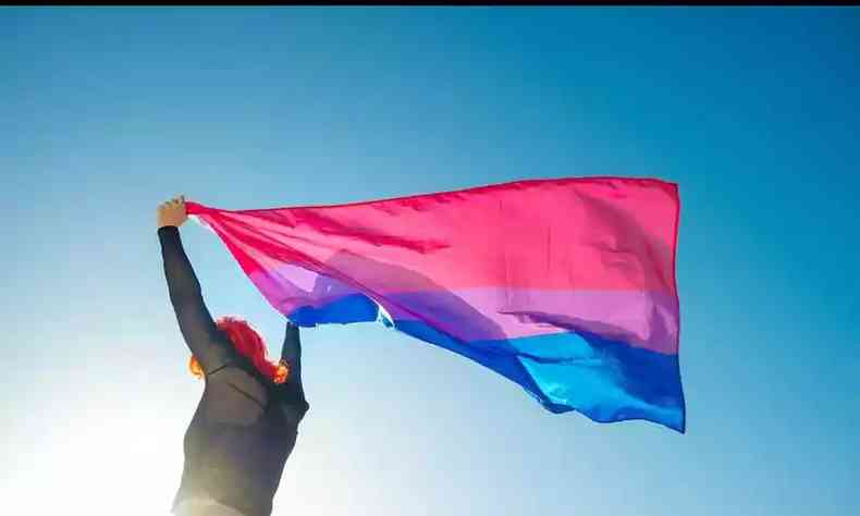 bandeira bissexual
