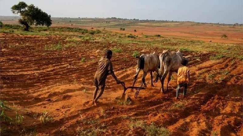 Secas sucessivas secaram completamente o solo no sul do país.(foto: Ocha/Reuters) Secas sucessivas secaram completamente o solo no sul do país.(foto: Ocha/Reuters)