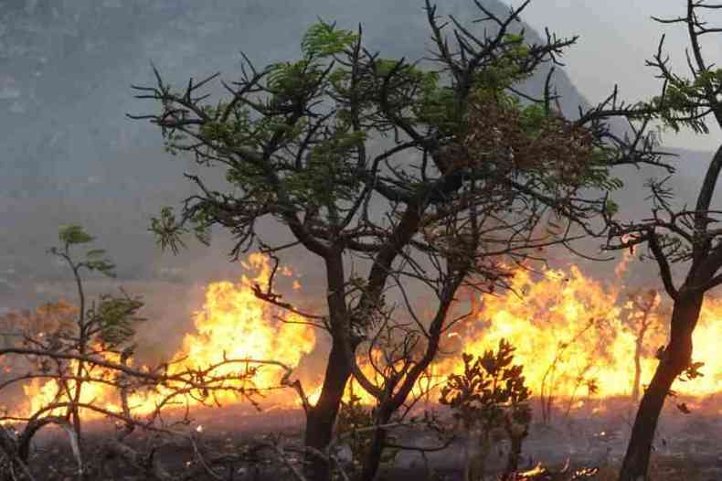 Linha de fogo na Lapinha da Serra chegou a dois quilômetros de extensão(foto: Leandro Couri/EM/D.A Press)