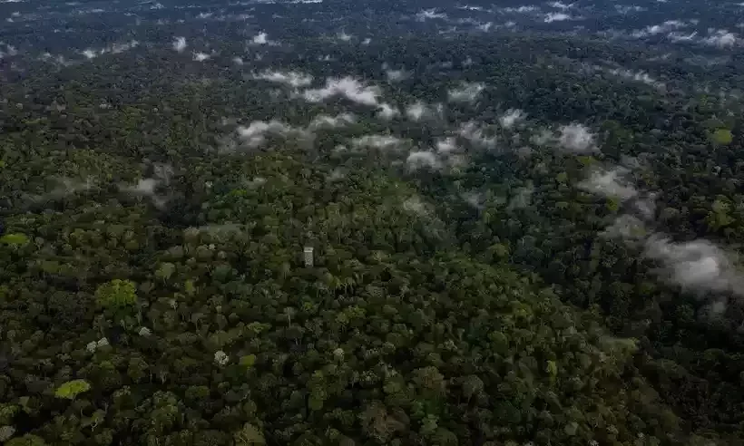 Justiça anula licença para exploração de potássio na Amazônia 1 image