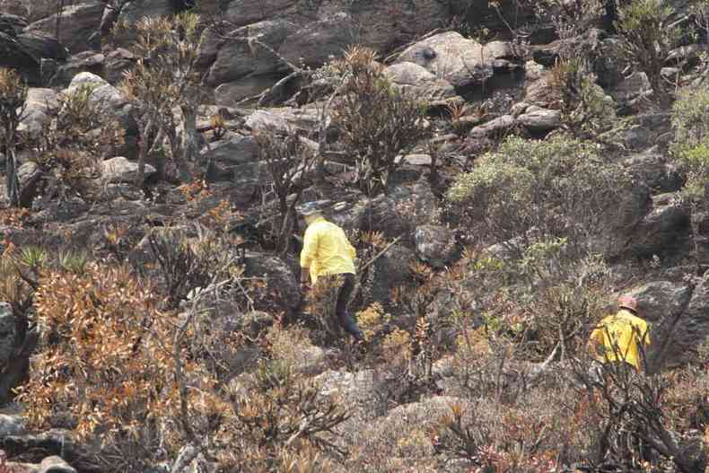 Brigadista sobe o morro durante combate a incndio no Parque Estadual da Serra de Ouro Branco