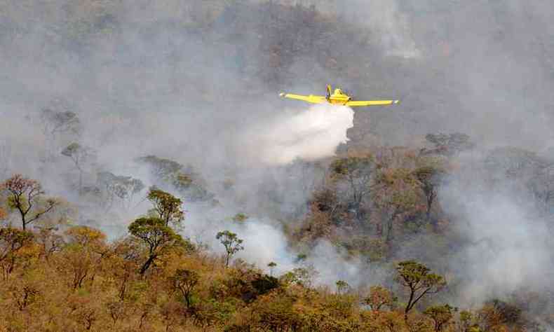 Avies do tipo air tractor tem sido fundamentais nas aes de combater s chamas em vegetao(foto: Beto Novaes/EM/DA Press )