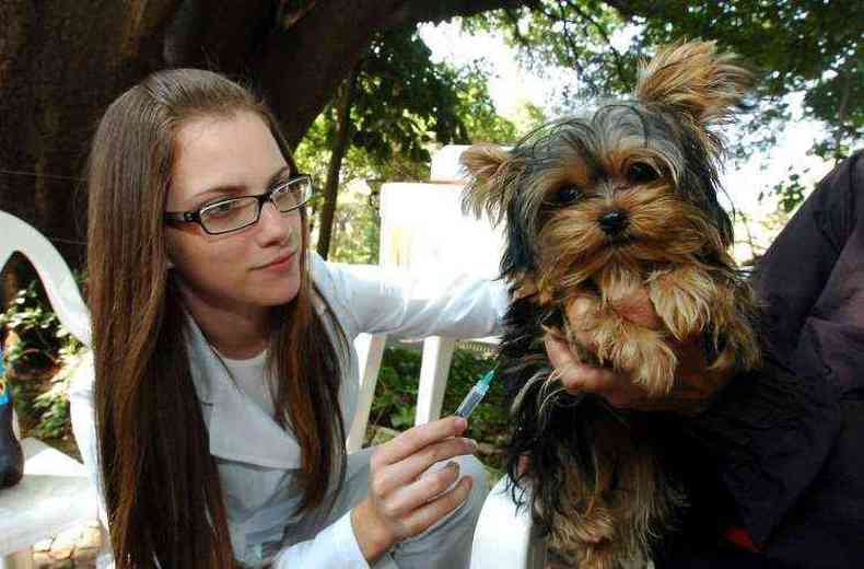 Animais vo poder ser vacinados de tera-feira at a sexta-feira em BH(foto: Marcos Vieira/EM/D.A Press )