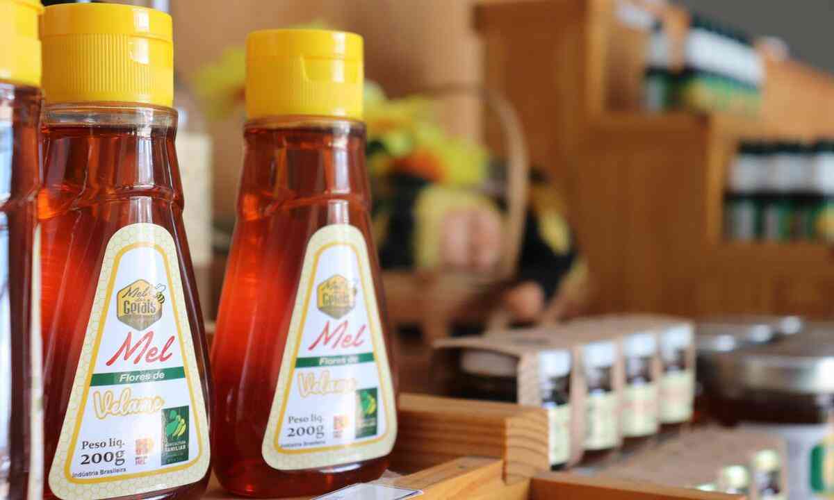 Produtores do Norte de Minas vendem 15 toneladas de mel para a Bélgica