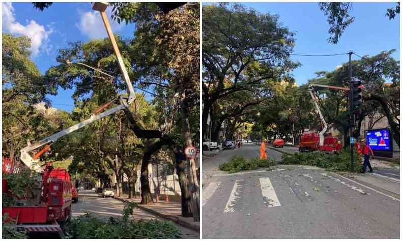 rvore acertou uma banca de jornal, na altura do nmero 1.604, na avenida Prudente de Morais