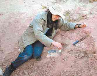 Juan Carlos Cisneros descreveu o carnvoro mais antigo da Amrica do Sul(foto: ARQUIVO PESSOAL)