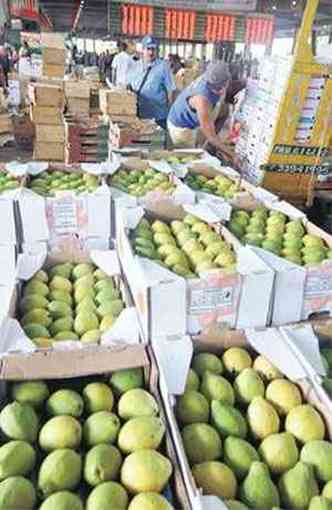 Atacado, com loja na CeasaMinas, vende 150 mil quilos da fruta no pas a cada trs dias(foto: Jair Amaral/EM/D.A Press)